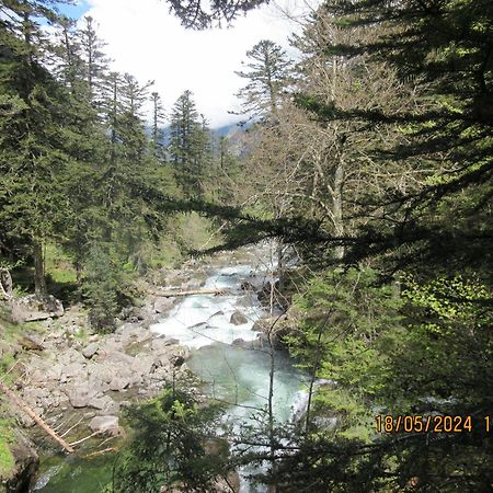 Studio Cerisema Pyrenees Zenith Luz-Saint-Sauveur Eksteriør billede