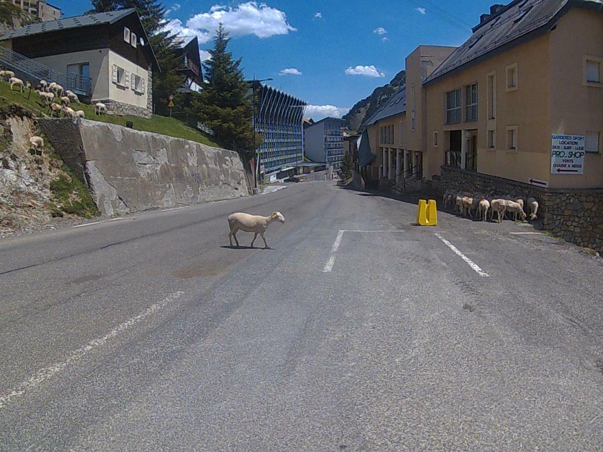 Studio Cerisema Pyrenees Zenith Luz-Saint-Sauveur Eksteriør billede